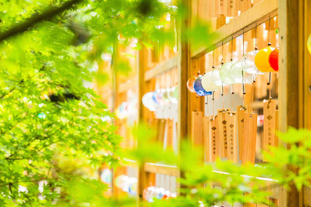夏季休診のお知らせ